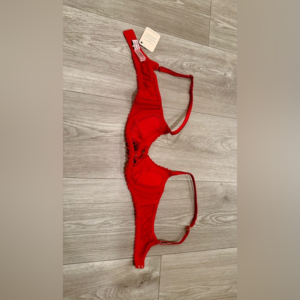 Agent Provocateur Tammi Red Silk Blend Bra. 34A. NWT. - Picture 5 of 6